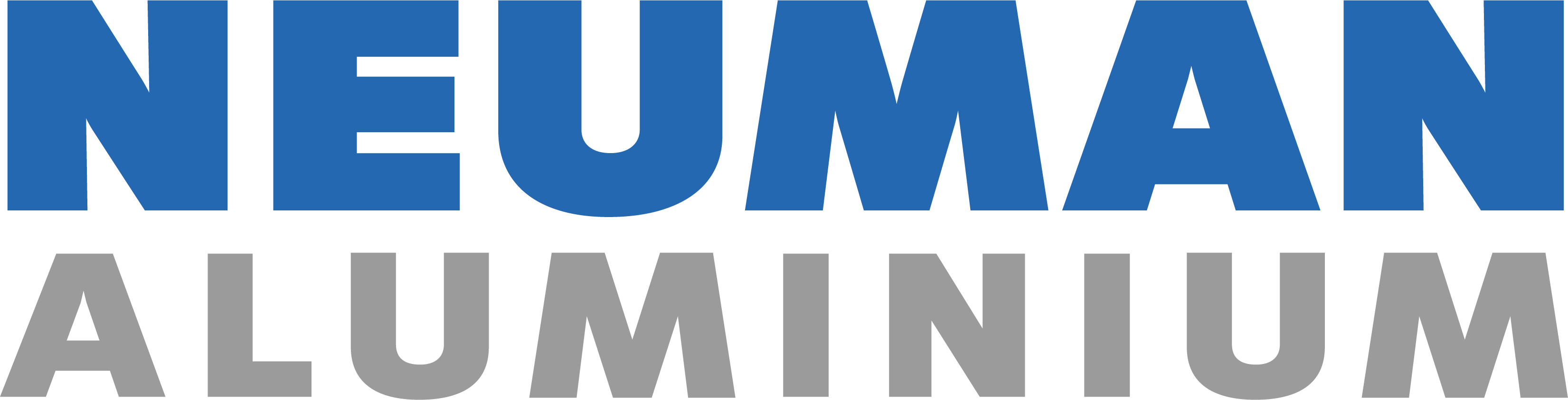 Friedrich von Neuman